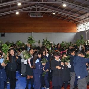 Celebración de Ramos